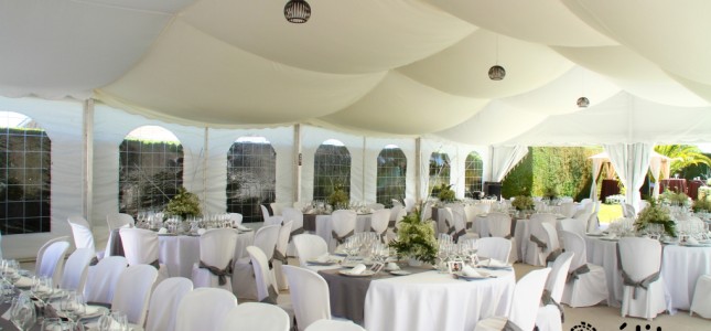 alquiler de carpas elite